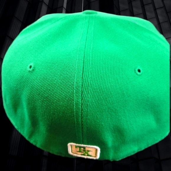Texas Snapback Green Hat (Pitbull) - Picture 2 of 3